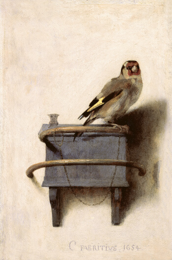 Le Chardonneret par Carel Fabritius